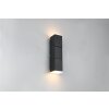 Raglan Applique murale Luminaires Trio LED Noir, 2 lumières
