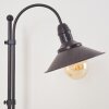 Lampe à poser Nibyn Beige, Brun foncé, 1 lumière