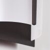 Applique murale d'extérieur Lamarche LED Anthracite, 2 lumières