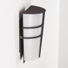 Applique murale d'extérieur Lamarche LED Anthracite, 2 lumières