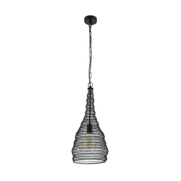 Suspension Eglo COLTEN Noir, 1 lumière