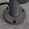 Borne lumineuse Moroni LED Anthracite, 1 lumière