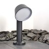 Borne lumineuse Moroni LED Anthracite, 1 lumière
