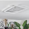 Sezures Plafonnier LED Blanc, 1 lumière, Télécommandes
