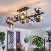 Chehalis Plafonnier, Boule lumineuse Chrome, Clair, Fumé, 8 lumières