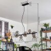 Chehalis Boule lumineuse, Suspension Fumé, 8 lumières
