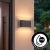 Paranhas Lampe murale d´extérieur, Luminaire de salle de bain, Luminaire Up & Down, Applique murale Anthracite, 1 lumière