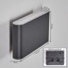 Paranhas Lampe murale d´extérieur, Luminaire de salle de bain, Luminaire Up & Down, Applique murale Anthracite, 1 lumière