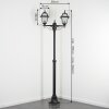 Fornelos Luminaire extérieur, Réverbère, Eclairage de chemin Noir, 2 lumières