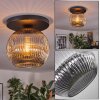 Ripoll Plafonnier, Boule lumineuse Fumé, 1 lumière