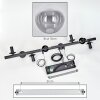 Gastor Suspension, Boule lumineuse, Suspension Clair, Fumé, 8 lumières
