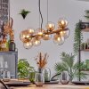 Chehalis Suspension, Boule lumineuse, Suspension Ambre, Clair, 10 lumières