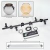 Koyoto Suspension, Boule lumineuse, Suspension Ambre, Chrome, Fumé, 8 lumières