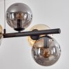 Gastor Suspension, Boule lumineuse, Suspension Ambre, Fumé, 8 lumières