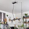 Chehalis Suspension, Boule lumineuse, Suspension Ambre, Clair, Fumé, 8 lumières