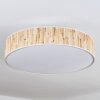 Foggia Plafonnier Nickel mat, 3 lumières