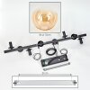 Koyoto Suspension, Boule lumineuse, Suspension Ambre, Clair, 8 lumières