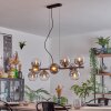 Gastor Suspension, Boule lumineuse, Suspension Clair, Fumé, 10 lumières