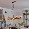 Gastor Suspension, Boule lumineuse, Suspension Ambre, Clair, 10 lumières