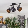 Bjedstrup Plafonnier, Spot de plafond Noir, 3 lumières