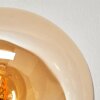 Gastor Plafonnier, Boule lumineuse Ambre, Fumé, 5 lumières