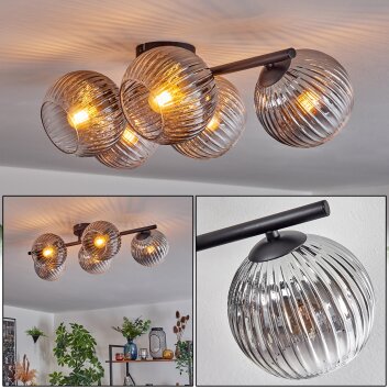 Gastor Plafonnier, Boule lumineuse Clair, Fumé, 5 lumières Gastor Plafonnier, Boule lumineuse Clair, Fumé, 5 lumières