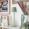 Allen Lampe de table d'extérieur, Lampe à poser LED Vert, 1 lumière