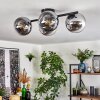 Gastor Plafonnier, Boule lumineuse Chrome, Clair, Fumé, 4 lumières