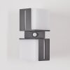 Swanek Lampe murale d´extérieur, Applique murale LED Anthracite, 2 lumières, Détecteur de mouvement Swanek Lampe murale d´extérieur, Applique murale LED Anthracite, 2 lumières, Détecteur de mouvement