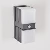 Swanek Lampe murale d´extérieur, Applique murale LED Anthracite, 2 lumières, Détecteur de mouvement Swanek Lampe murale d´extérieur, Applique murale LED Anthracite, 2 lumières, Détecteur de mouvement