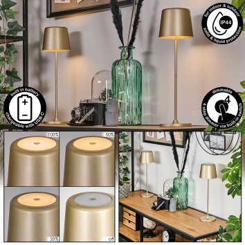 Belece Lampe de table d'extérieur, Lampe à poser LED Or, Blanc, 1 lumière