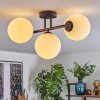 Gastor Plafonnier, Boule lumineuse Blanc, 3 lumières