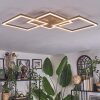 Brina Plafonnier LED Brun, Or, 1 lumière