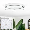 Ciron Plafonnier LED Argenté, 1 lumière, Télécommandes