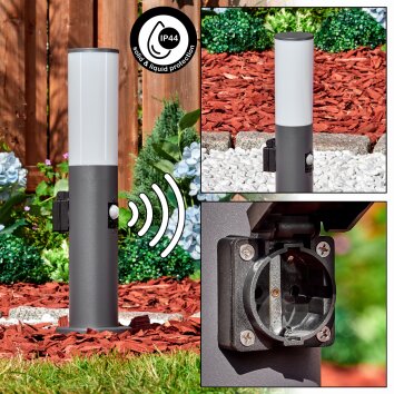 Caserta Prises électriques d\'extérieur, Borne lumineuse, Eclairage de chemin Anthracite, 1 lumière