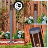 Sessa Eclairage de chemin Anthracite, 1 lumière