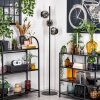 Ripoll Lampadaire Chrome, Fumé, 3 lumières Ripoll Lampadaire Chrome, Fumé, 3 lumières