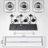 Gastor Suspension, Boule lumineuse, Suspension Fumé, 8 lumières
