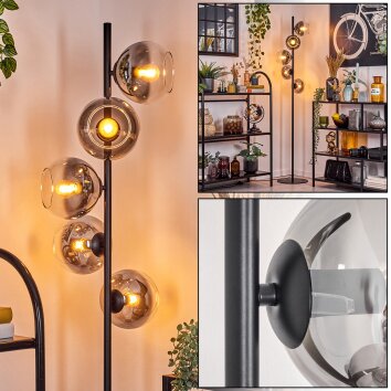 Koyoto Lampadaire Clair, Fumé, 5 lumières Koyoto Lampadaire Clair, Fumé, 5 lumières