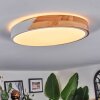 Cadaixo Plafonnier, Panel LED Blanc, 1 lumière