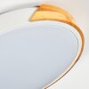 Cadaixo Plafonnier, Panel LED Blanc, 1 lumière