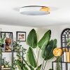 Cadaixo Plafonnier, Panel LED Blanc, 1 lumière