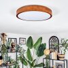 Sofo Plafonnier, Panel LED Blanc, 1 lumière, Télécommandes