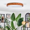 Sofo Plafonnier, Panel LED Blanc, 1 lumière, Télécommandes