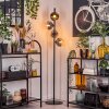 Ripoll Lampadaire Chrome, Clair, Fumé, 4 lumières