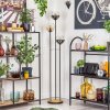 Koyoto Lampadaire 30 cm Bois foncé, Noir, 3 lumières