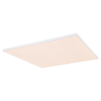 Plafonnier Globo GONPO LED Blanc, 1 lumière, Télécommandes