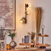 Chehalis Boule lumineuse, Applique murale Clair, 3 lumières