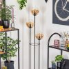 Gastor Lampadaire 30 cm Bois clair, Noir, 3 lumières