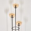 Gastor Lampadaire 30 cm Bois clair, Noir, 3 lumières